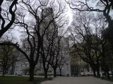 Argentine 2009 Buenos Aires Au Parc St Martin 003